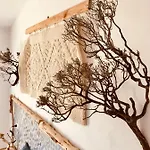 לינה וארוחת בוקר I Ginepri
