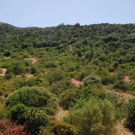 לינה וארוחת בוקר I Ginepri טאולאדה