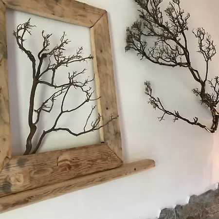 Bed and breakfast I Ginepri 3*