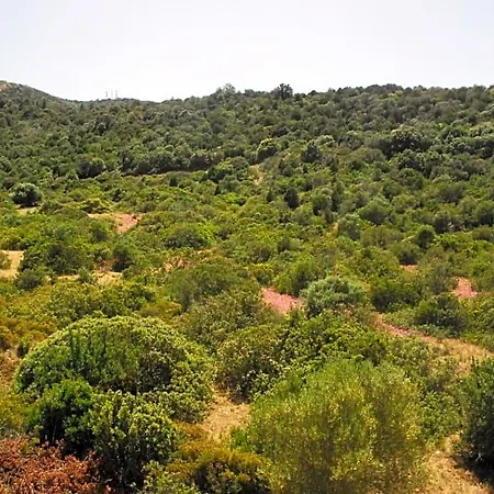 I Ginepri Bed & Breakfast